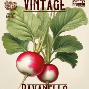 Radish Vintage Gaudry Seeds Early Red French Radish