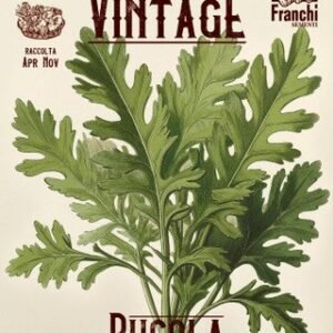 Rocket Vintage Cultivated Seeds Italian Wild Rocket (Arugula)