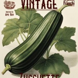Marrow Vintage Dwarf of Italy Seeds Compact Italian Bush Marrow