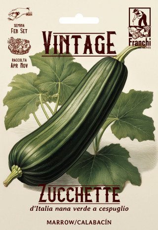 Marrow Vintage Dwarf of Italy Seeds Compact Italian Bush Marrow