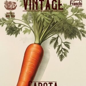 Carrot Vintage Half Length Seeds Sweet Heirloom Carrot