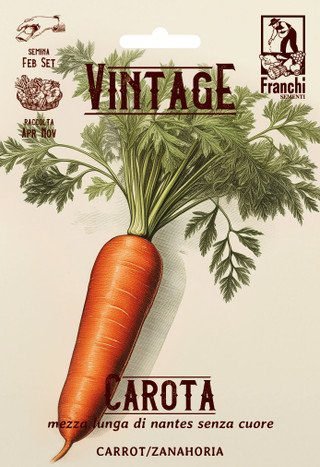 Carrot Vintage Half Length Seeds Sweet Heirloom Carrot