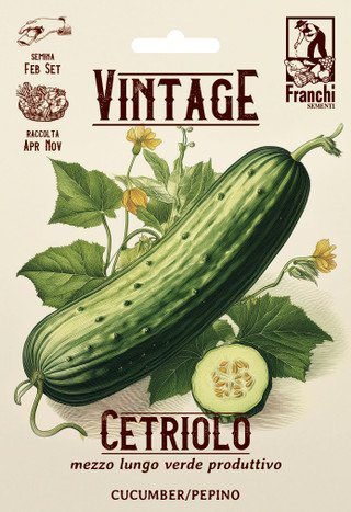 Cucumber Vintage Marketmore Half Length Seeds Outdoor Ridge Cucumber