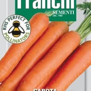Carrot 'Touchon' Seeds | Fast-Growing French Heirloom Carrot