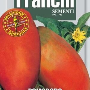 Giant San Marzano Tomato 'Redorta' Seeds Heirloom Sauce Tomato Franchi Seeds