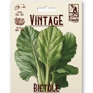 Swiss Chard Vintage Costa Verde Seeds Perpetual Spinach