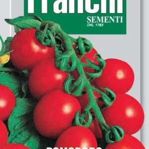 Tomato 'Principe Borghese' Seeds | Eternal Hanging Tomato for Drying