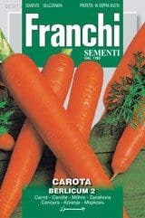 Carrot Berlicum Seeds Sweet Maincrop Heirloom Carrot