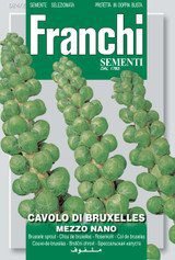Brussels Sprouts Seeds Heritage Gemmifera Group by bloomyseeds