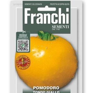 Tomato 'Zloty Ozarowski' Seeds | Polish Heirloom Yellow Tomato
