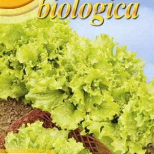 Organic Lettuce 'Bionda Ricciolina' Seeds | Frilly Blond Cut-and-Come-Again Lettuce