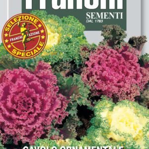 Ornamental Cabbage Seeds | Winter Colour for Borders