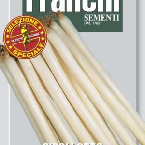 Spring Onion Cipollotti a Mazzo Seeds Bunching Allium fistulosum by Franchi Seeds