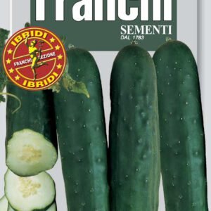 Cucumber Sakamari F1 Seeds Japanese English-Type by Franchi Seeds