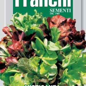 Mixed Lettuces Seeds Lattughe Miste Heritage Blend by Franchi Seeds