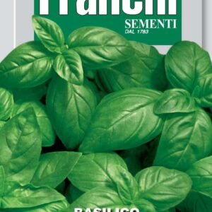 Basil Classico Italiano Seeds Classic Genovese Basil by Franchi Seeds