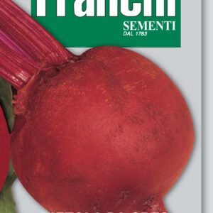 Beetroot Detroit Seeds Early Sweet Globe by Franchi Seeds