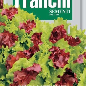 Bis di Lattughe Seeds Early Cutting Lettuce Mix by Franchi Seeds