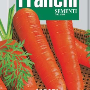 Carrot Flakkee Gigante Seeds Large Late Variety by Franchi Seeds