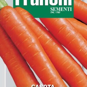 Carrot Nantese di Chioggia Seeds Sweet Cylindrical Roots by Franchi Seeds