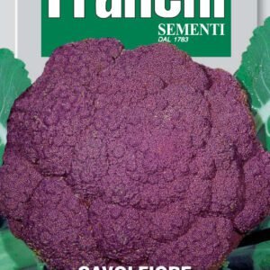 Cauliflower 'Violetto di Sicilia' Seeds | Purple Sicilian Cauliflower