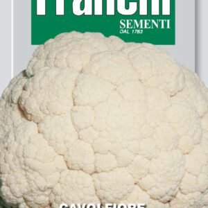 Cauliflower 'Of Verona Precoce' Seeds Early Heritage Cauliflower