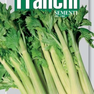 Celery 'Gigante Dorato' Seeds | Golden Alpine Heritage Celery