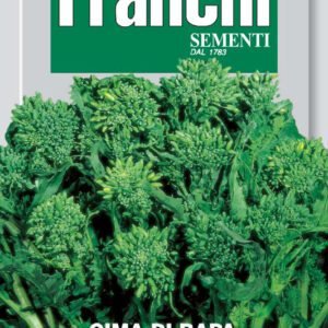 Cima Di Rapa '40 Days' Seeds Fast-Harvest Broccoli Raab