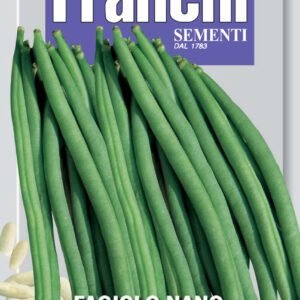 What to Sow NOW JULY 2026