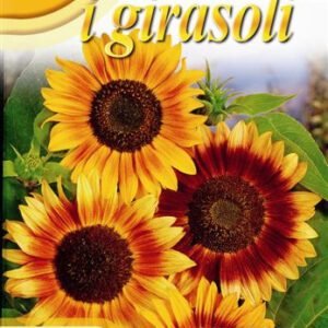 Ornamental Sunflower 'Multicolor' Seeds | Mixed Colour Cut Flowers