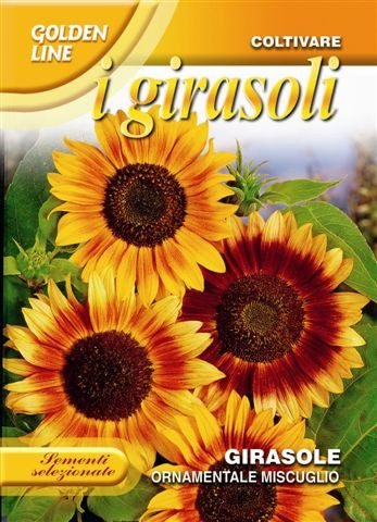 Ornamental Sunflower 'Multicolor' Seeds | Mixed Colour Cut Flowers