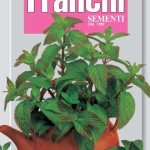 Peppermint Seeds Mentha piperita by Franchi Seeds
