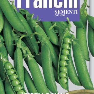 Dwarf Pea Piccolo Provenzale Heritage Variety by Franchi Seeds