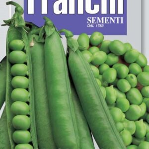 Climbing Pea Telefono (A) Heritage Variety by Franchi Seeds