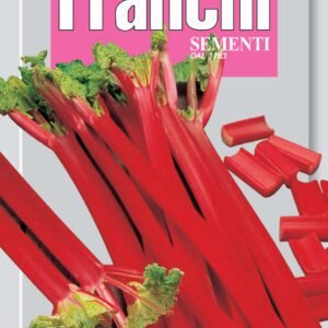 Rhubarb Seeds Italian Rabarbaro Variety Perennial for Jams & Desserts Franchi Seeds