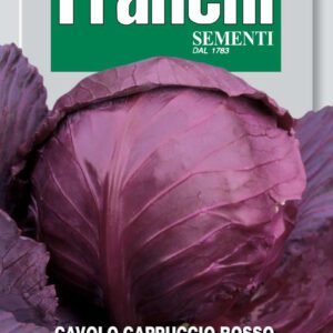 Red Cabbage 'Tête Noire 3' Seeds Frost-Resistant Winter Cabbage