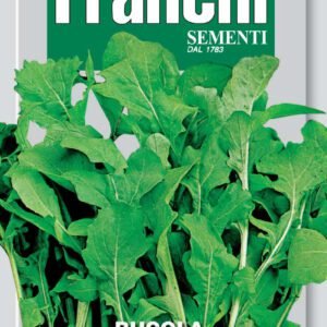 Cultivated Rocket / Arugula Seeds Heritage by Franchi Seeds