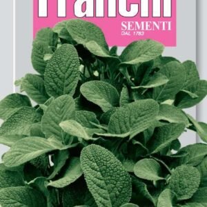 Sage Seeds Salvia officinalis by Franchi Seeds