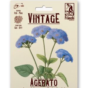 Ageratum Nano Blu Star Vintage 1928 Flower Seeds Franchi Seeds