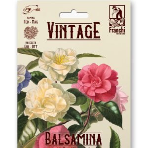 Balsamina a Fior di Camelia Vintage 1928 Flower Seeds Franchi Seeds