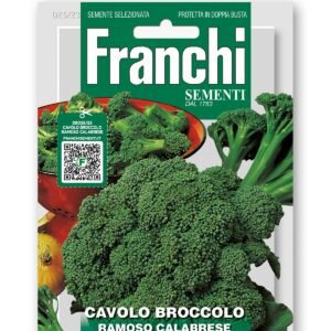 Cavolo Broccolo Ramoso Calabrese Seeds Early, Tender & Productive Italian Variety