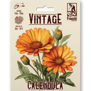 Calendula a Fiore Semplice Arancio Vintage 1928 Flower Seeds Franchi Seeds