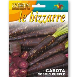 Colori d'Italia — Rainbow Roots