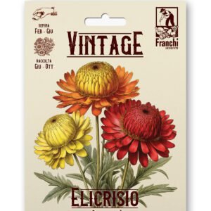 Elicrisio Strawflower Multicolor Vintage 1928 Everlasting Flower Seeds Franchi Seeds
