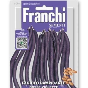 PurplePodded Climbing French Bean Seeds | A Cosse Violette Sans Fil