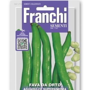 guadulce Supersimonia Broad Bean Seeds | ExtraLong Pods & 89 Beans Each