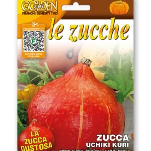 Uchiki Kuri Squash Seeds Japanese Red Kuri Heirloom