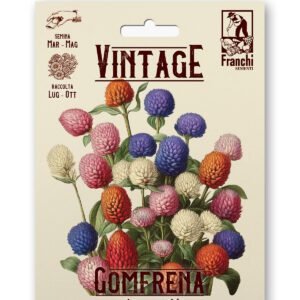 Gomphrena Globosa Multicolor Vintage 1928 Flower Seeds Franchi Seeds