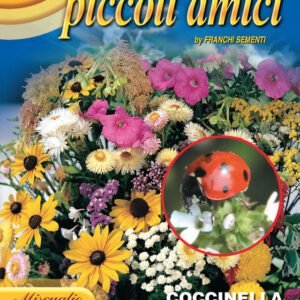 Ladybird Flower Mix Seeds | Annual & Biennial Blend