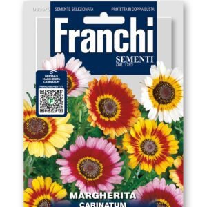 Margherita Carinatum Mix Seeds | Giant Multicolour Daisy